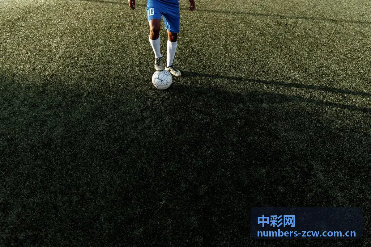 中彩网开奖查询场景