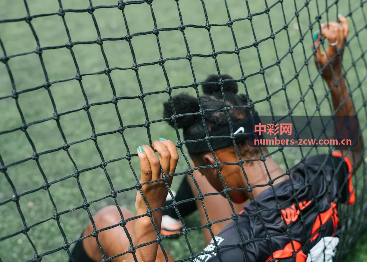 中彩网玩法学习场景